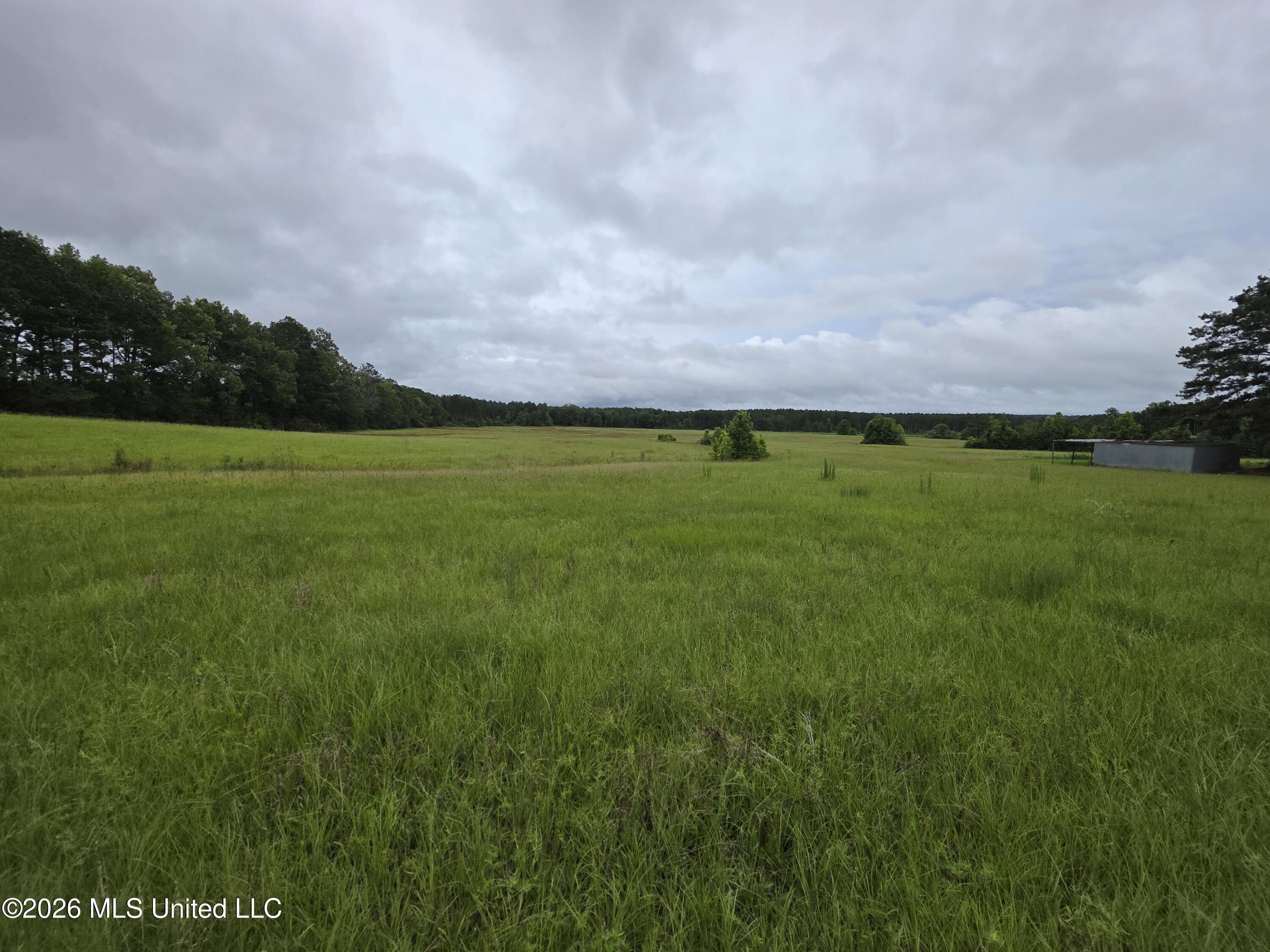 244 Foster Road Sontag, MS 39665 - Photo 41 of 105 35474