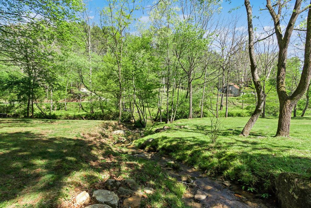 2445 Hanging Dog Road Murphy, NC 28906 - Photo 56 of 68