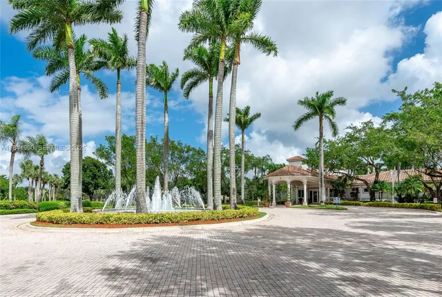 a view of a palm trees in a yard with palm trees