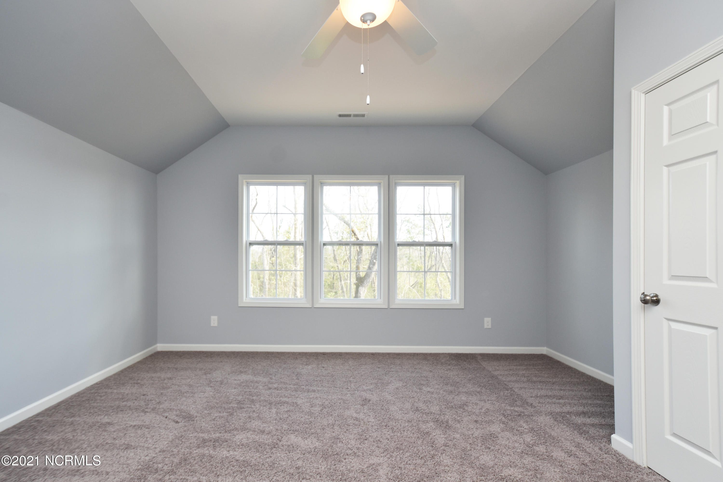 193 Violetear Ridge Hampstead, NC 28443 - Photo 11 of 25 12
