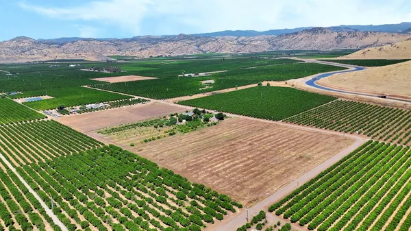 $910,000 | 40921 Road 150, Orosi, CA 93647