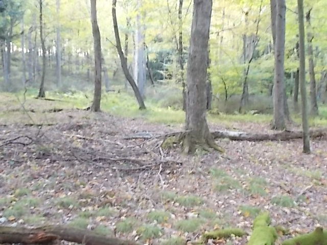 0 Aaron Vlg Road Corsica, PA 15829 - Photo 11 of 12