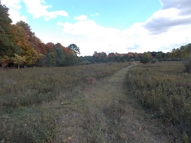 0 Aaron Vlg Road Corsica, PA 15829 - Photo 3 of 12