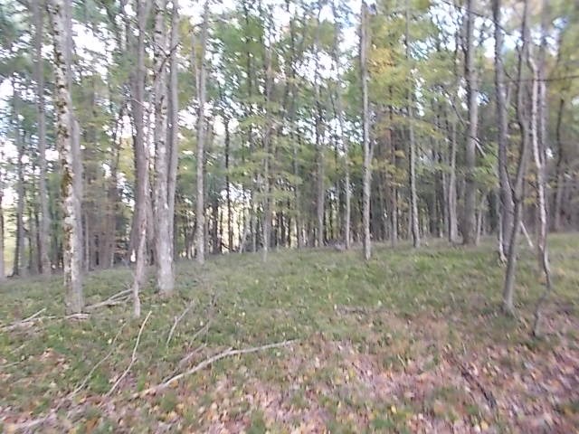 0 Aaron Vlg Road Corsica, PA 15829 - Photo 4 of 12
