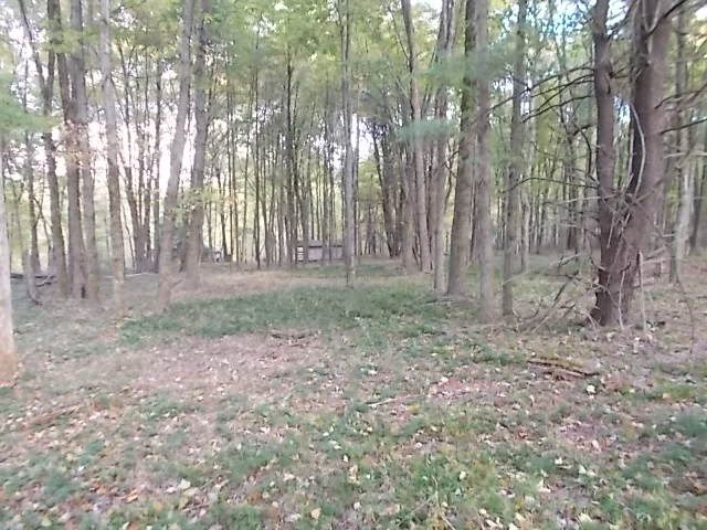 0 Aaron Vlg Road Corsica, PA 15829 - Photo 5 of 12