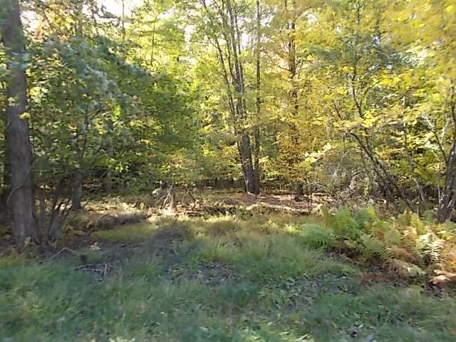 0 Aaron Vlg Road Corsica, PA 15829 - Photo 6 of 12