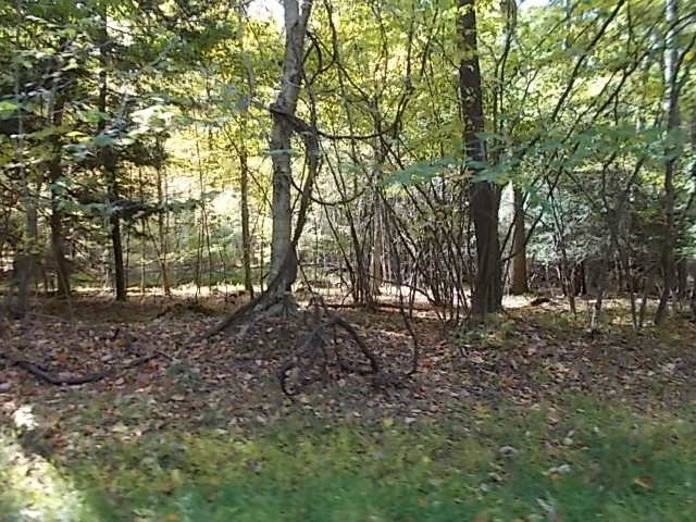 0 Aaron Vlg Road Corsica, PA 15829 - Photo 7 of 12