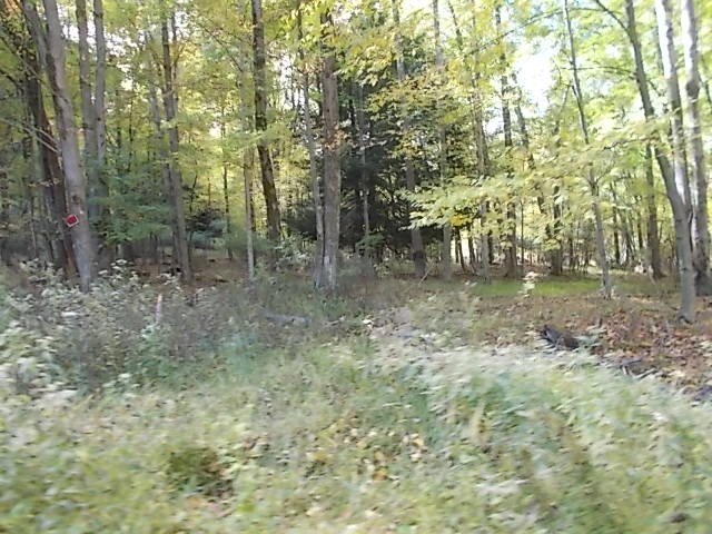 0 Aaron Vlg Road Corsica, PA 15829 - Photo 8 of 12