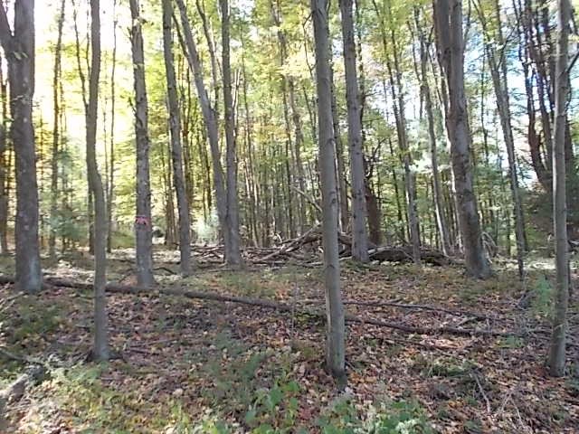 0 Aaron Vlg Road Corsica, PA 15829 - Photo 9 of 12