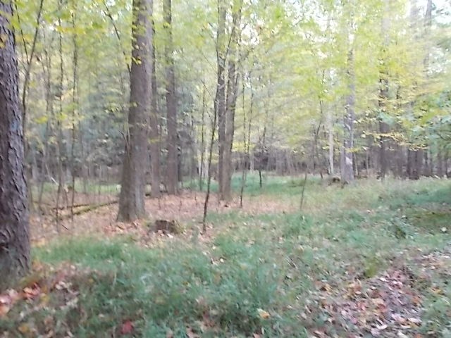 0 Aaron Vlg Road Corsica, PA 15829 - Photo 10 of 12