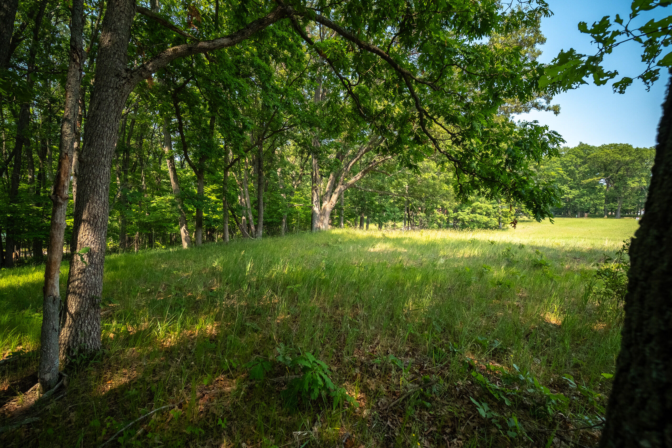 8161 Hunters Ridge Drive Irons, MI 49644 - Photo 3 of 37 Trees along ridge provide privacy