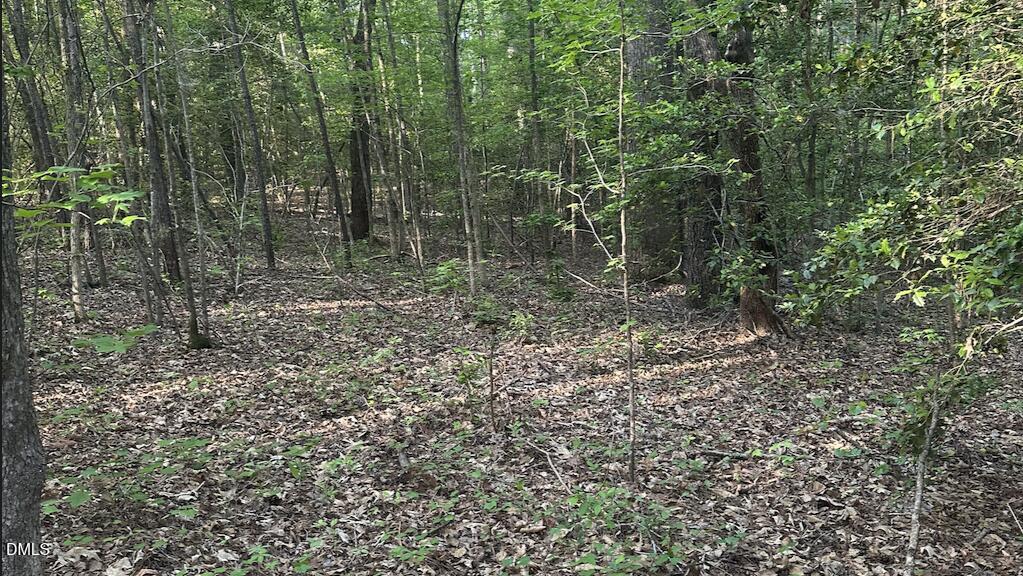 0 L L Cooper Road Cameron, NC 28326 - Photo 13 of 17 a view of a forest with trees