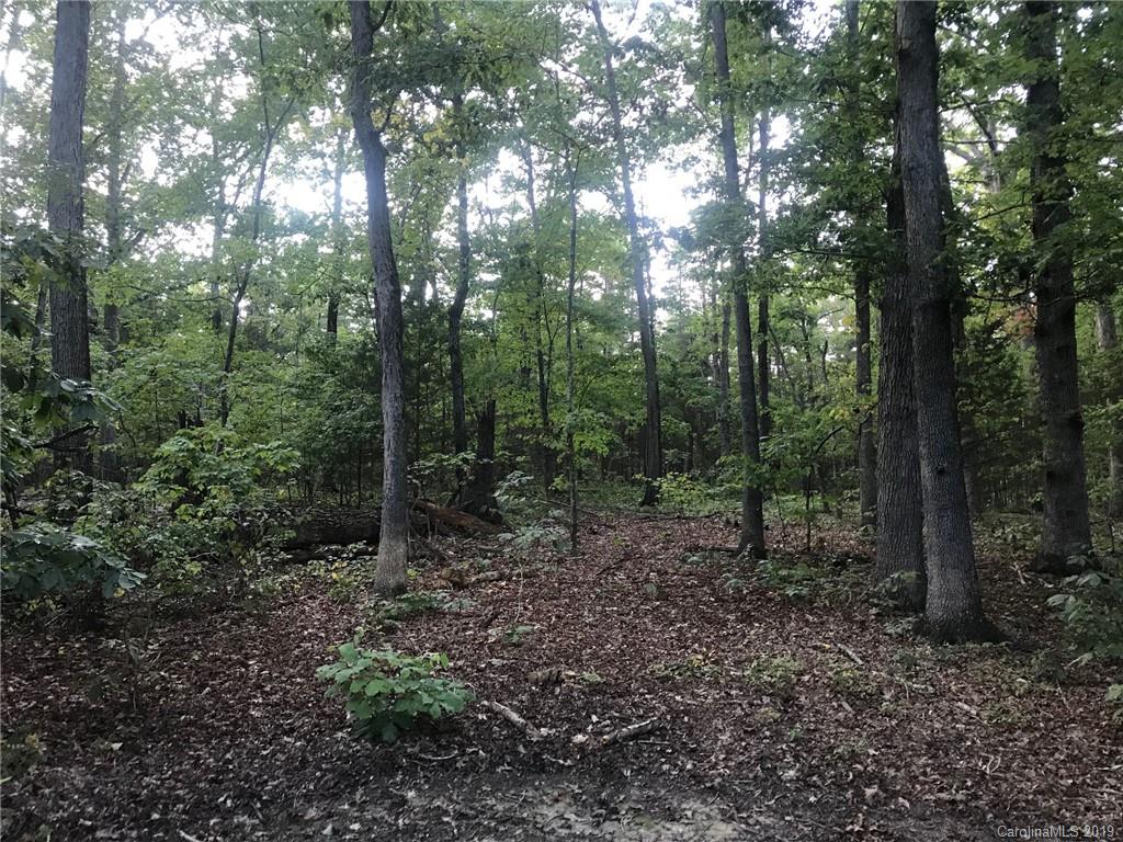 3 Mill Grove Road Indian Trail, NC 28079 - Photo 4 of 4