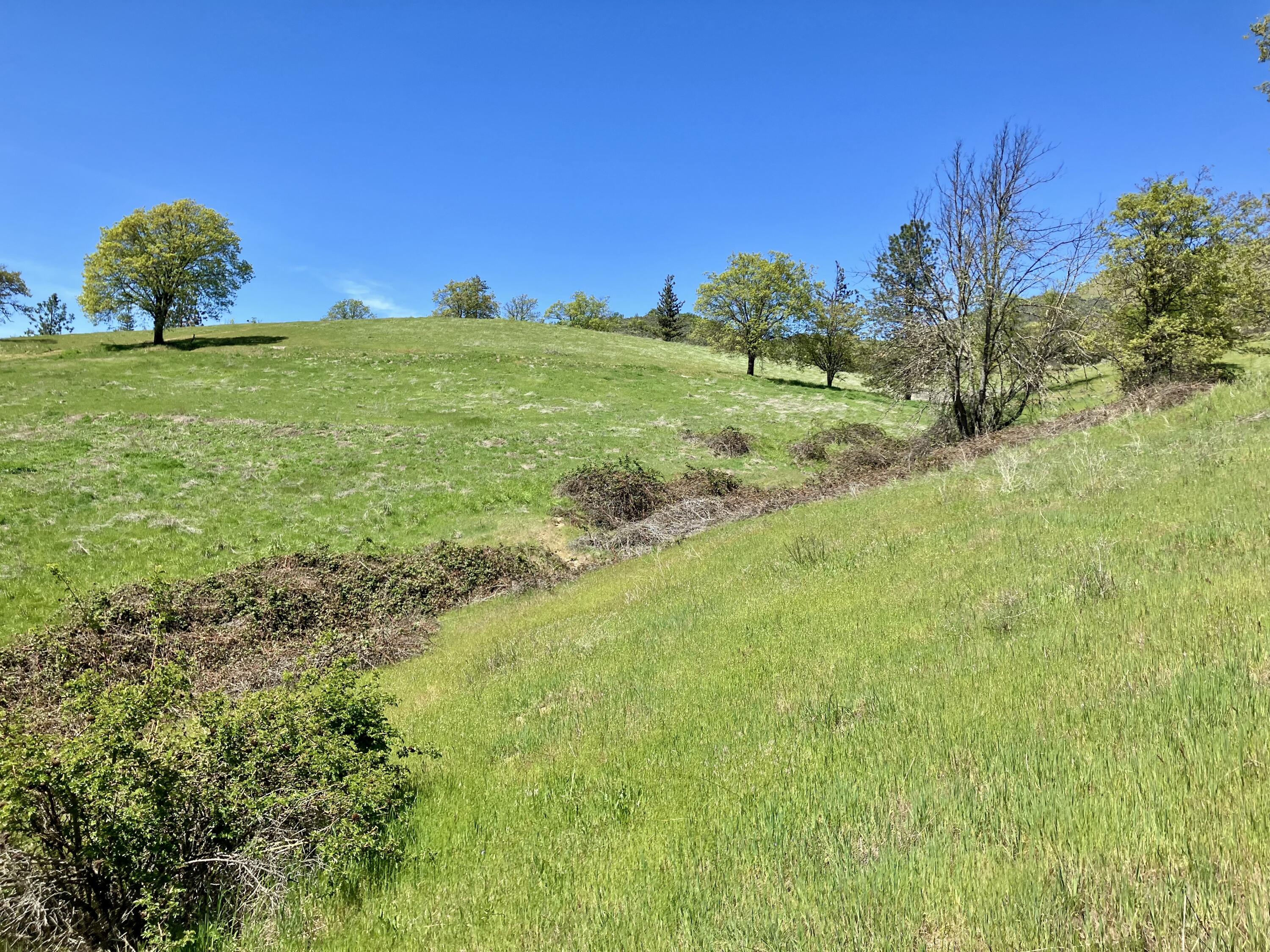 6585 Little Applegate Road Jacksonville, OR 97530 - Photo 23 of 151 Gallery Image 23