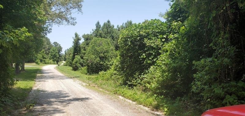 0 Eaves Bridge Road, Unit 32 375 ACRES Buchanan, GA 30113 - Photo 1 of 1 a view of a yard