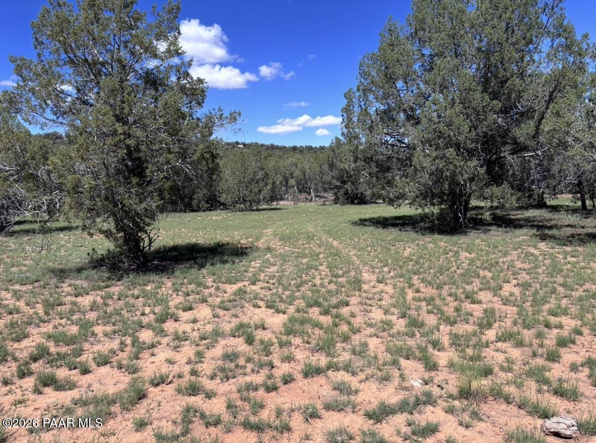 220 Six Shooter Road Williams, AZ 86046 - Photo 10 of 32 IMG_4365