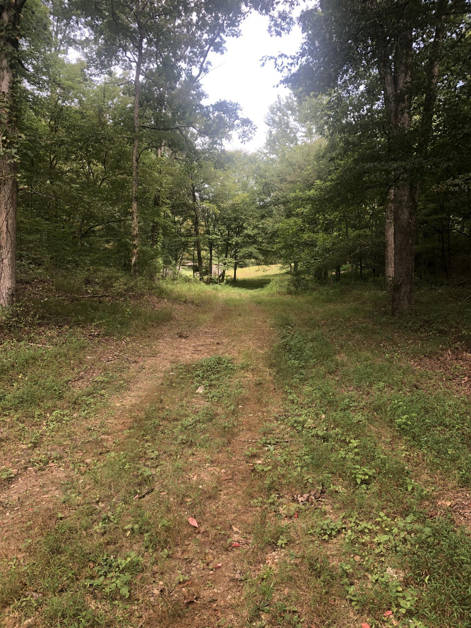 0 Garners Creek Road Dickson, TN 37055 - Photo 5 of 17 a view of lake view