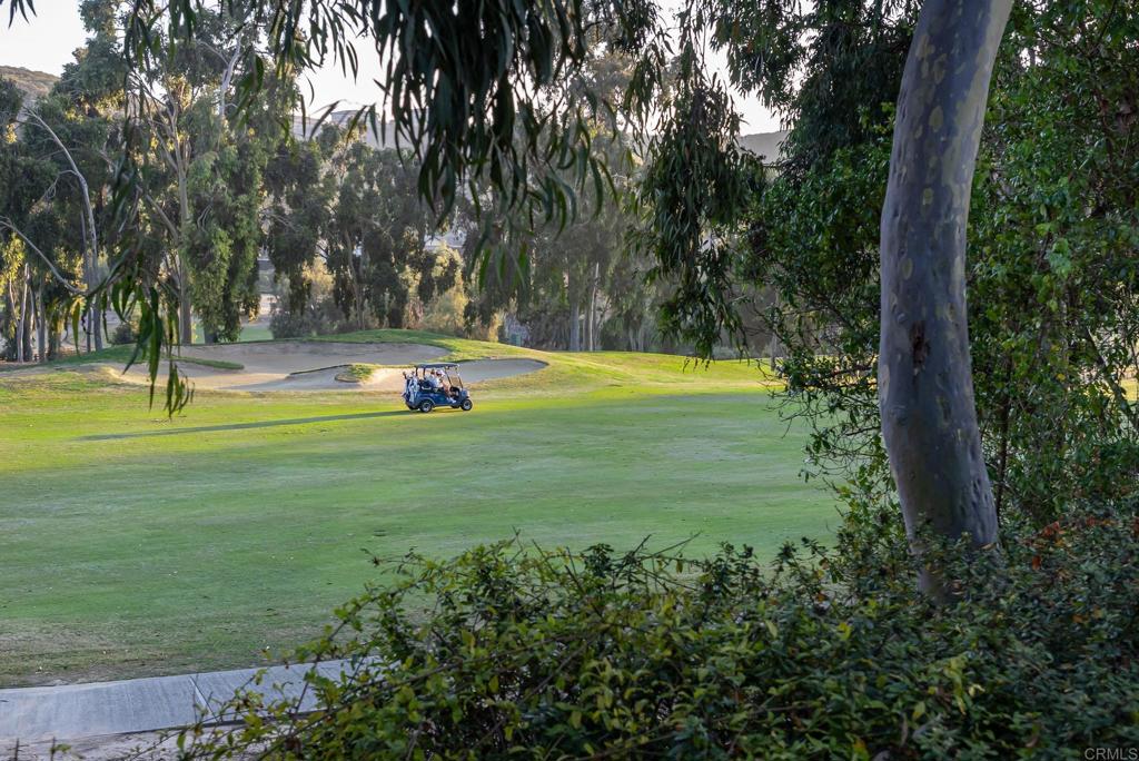 14479 Emerald Lane Rancho Santa Fe, CA 92067 - Photo 40 of 52 a view of a playground with a yard