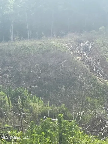 $255,350 | 143 Co Road, Carrollton, MS 38917