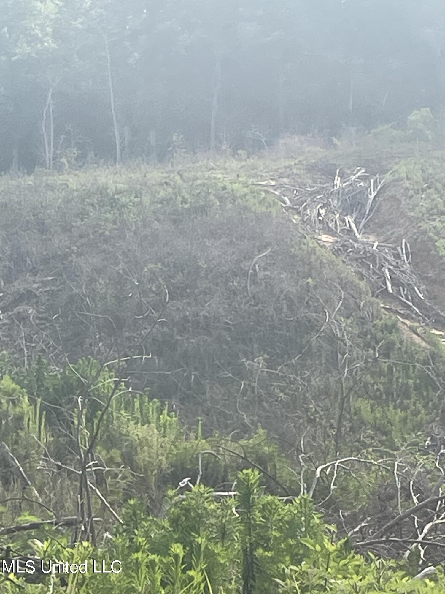 143 Co Road Carrollton, MS 38917 - Photo 11 of 12 IMG_5980 94