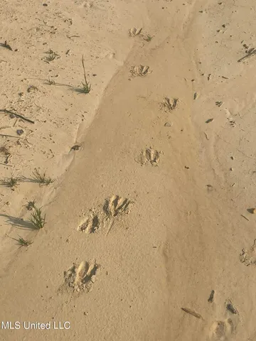 $255,350 | 143 Co Road, Carrollton, MS 38917