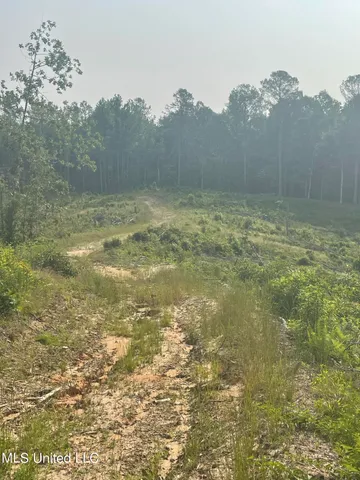 $255,350 | 143 Co Road, Carrollton, MS 38917