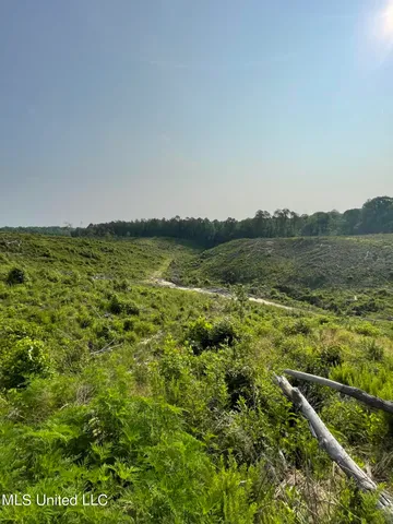 $255,350 | 143 Co Road, Carrollton, MS 38917