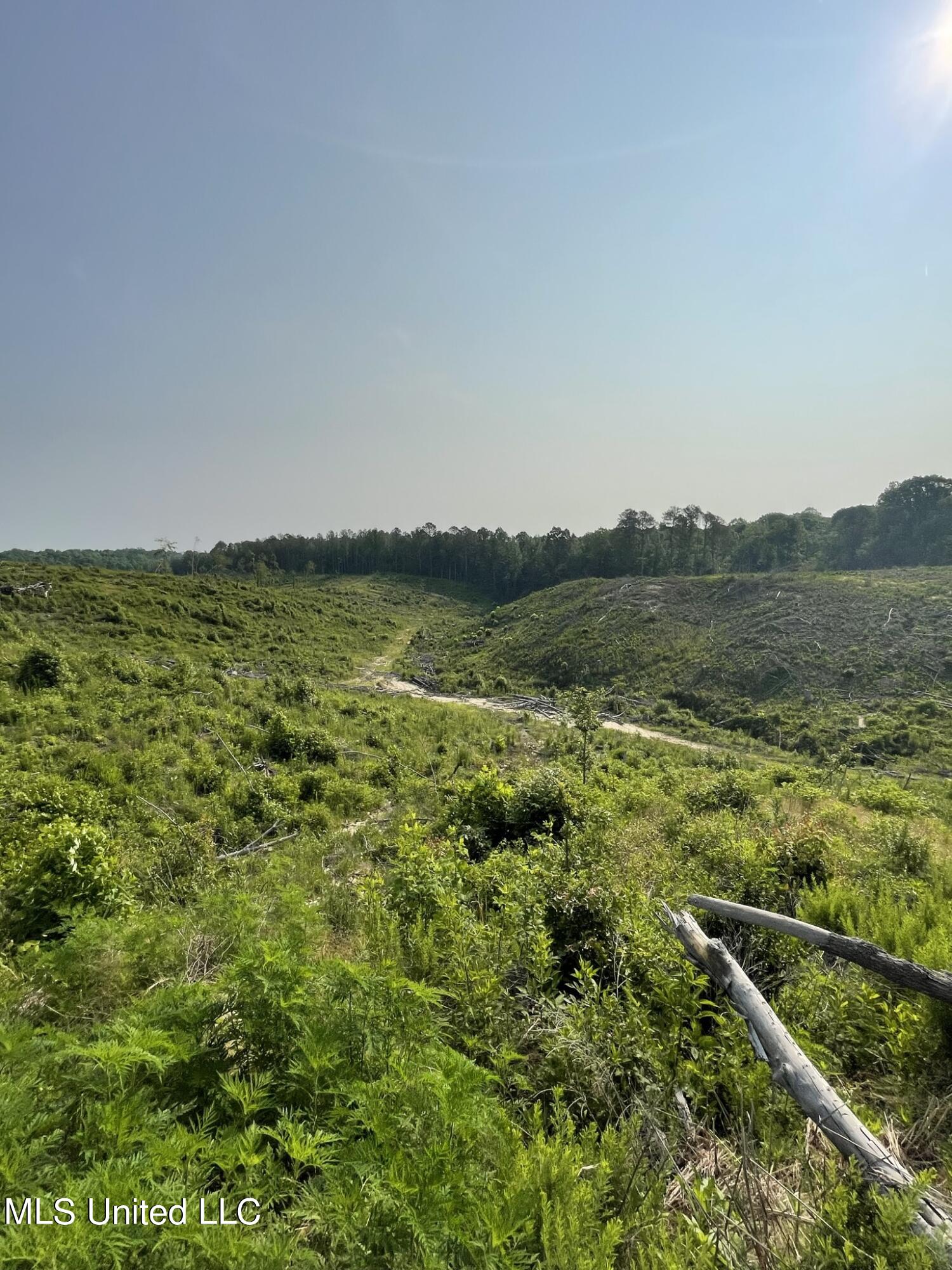 143 Co Road Carrollton, MS 38917 - Photo 9 of 12 94b