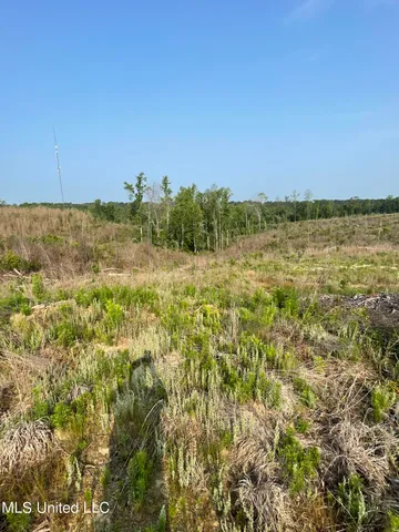 $255,350 | 143 Co Road, Carrollton, MS 38917