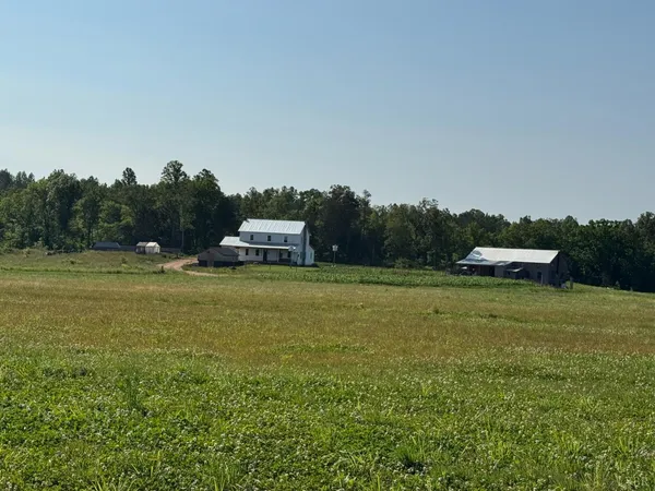 a backyard of a house with lots of green space and fog
