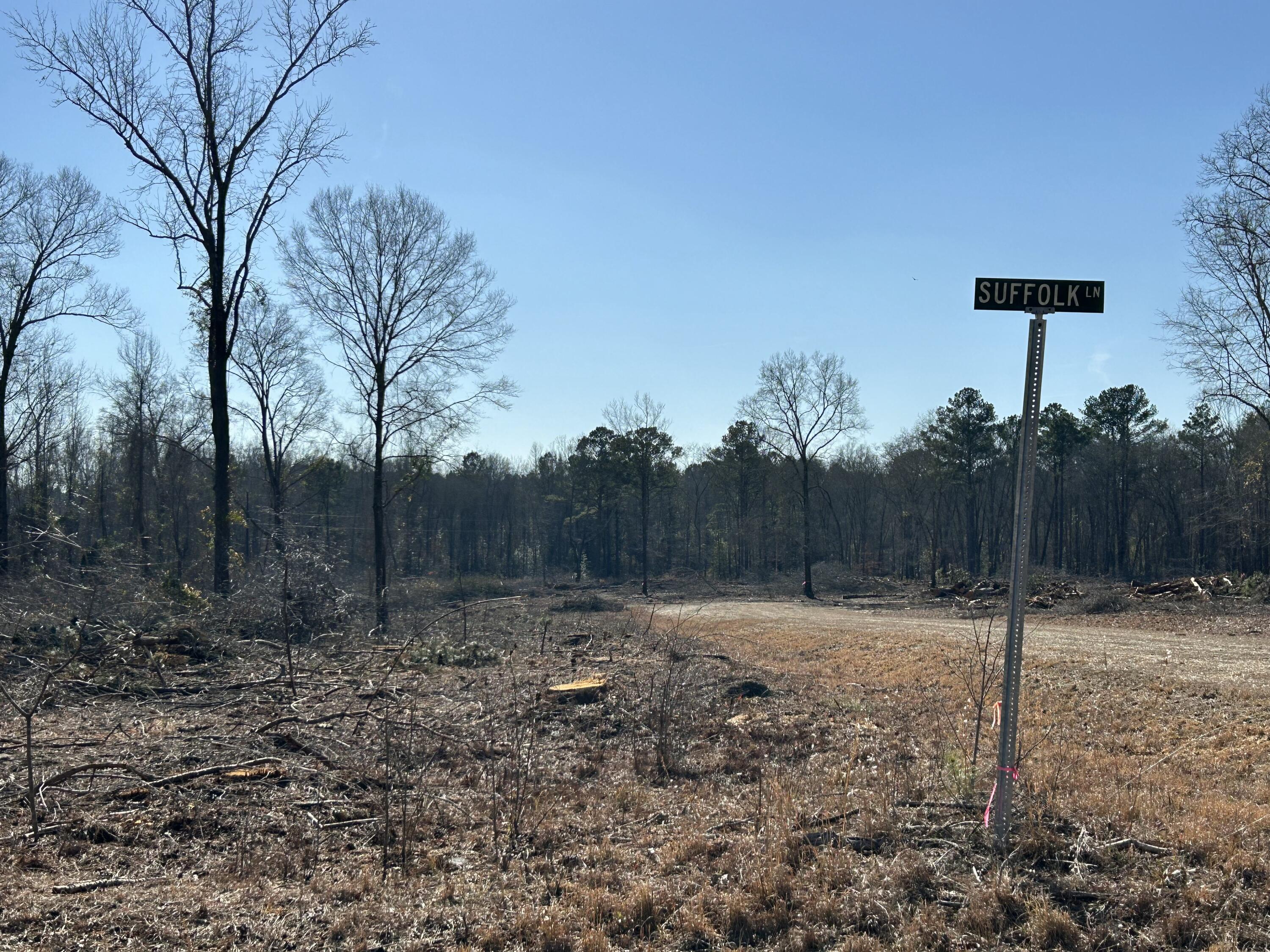 50-acres Bridlewood Road Cheraw, SC 29520 - Photo 4 of 15 Gallery Image 4