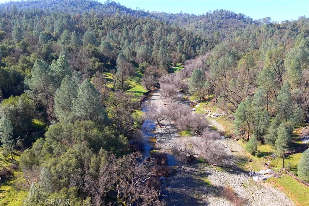 3729 Ben Hur Road Mariposa, CA 95338 - Photo 11 of 57 a view of a forest with a tree
