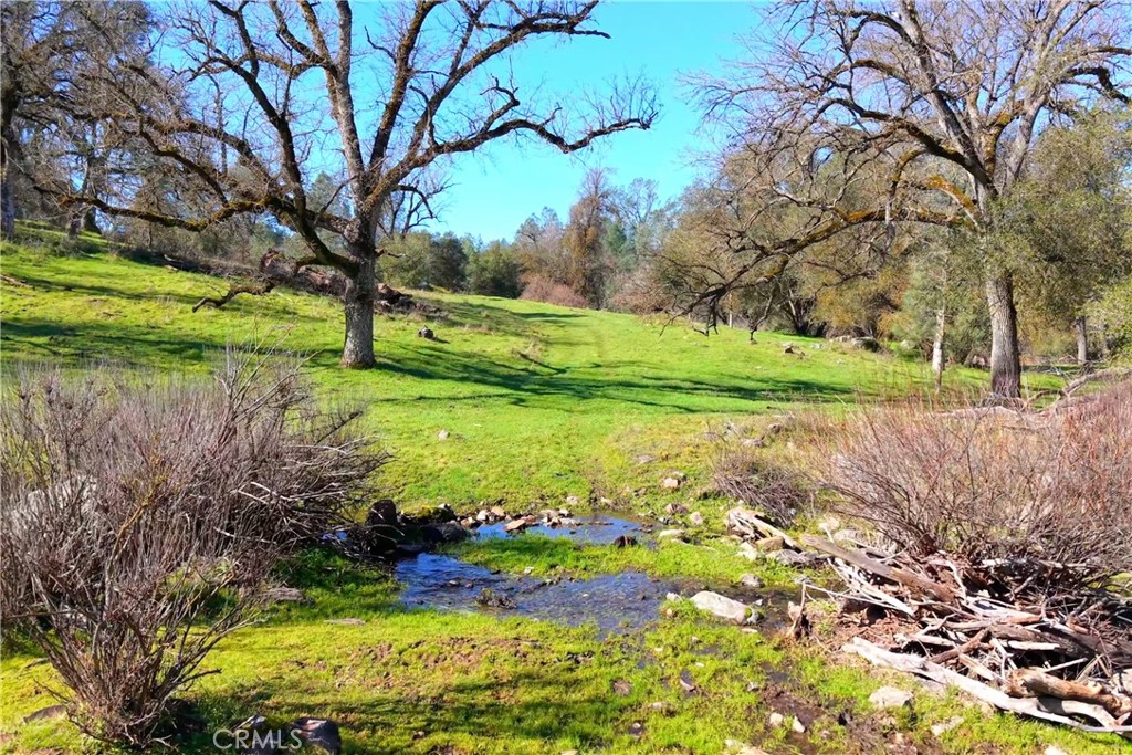 3729 Ben Hur Road Mariposa, CA 95338 - Photo 13 of 57 a view of a garden with plants and large trees