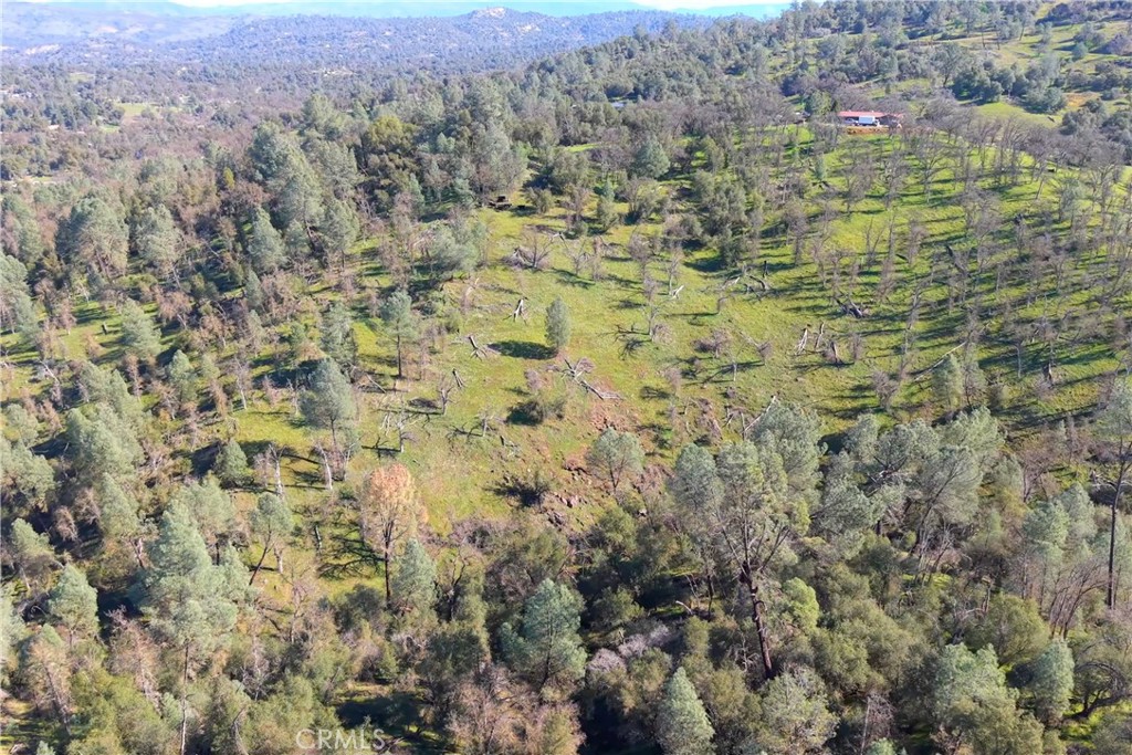 3729 Ben Hur Road Mariposa, CA 95338 - Photo 14 of 57 a view of a field