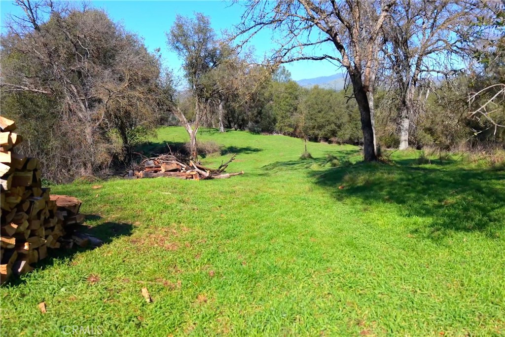 3729 Ben Hur Road Mariposa, CA 95338 - Photo 15 of 57 a view of a garden with trees