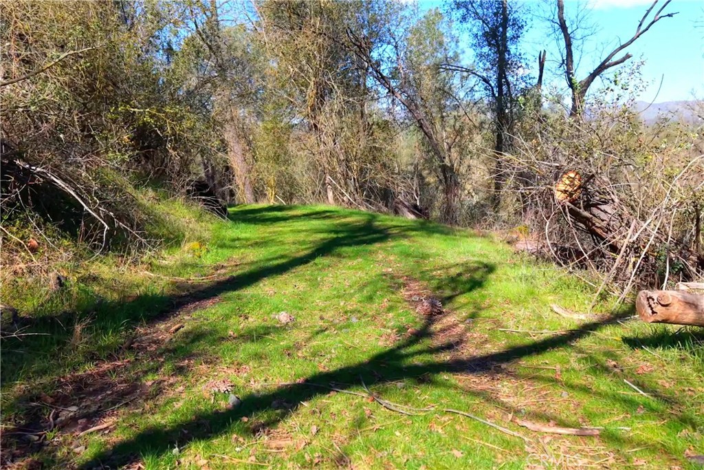3729 Ben Hur Road Mariposa, CA 95338 - Photo 17 of 57 a view of a yard