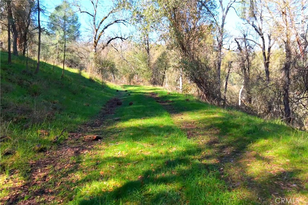 3729 Ben Hur Road Mariposa, CA 95338 - Photo 18 of 57 a view of yard with green space