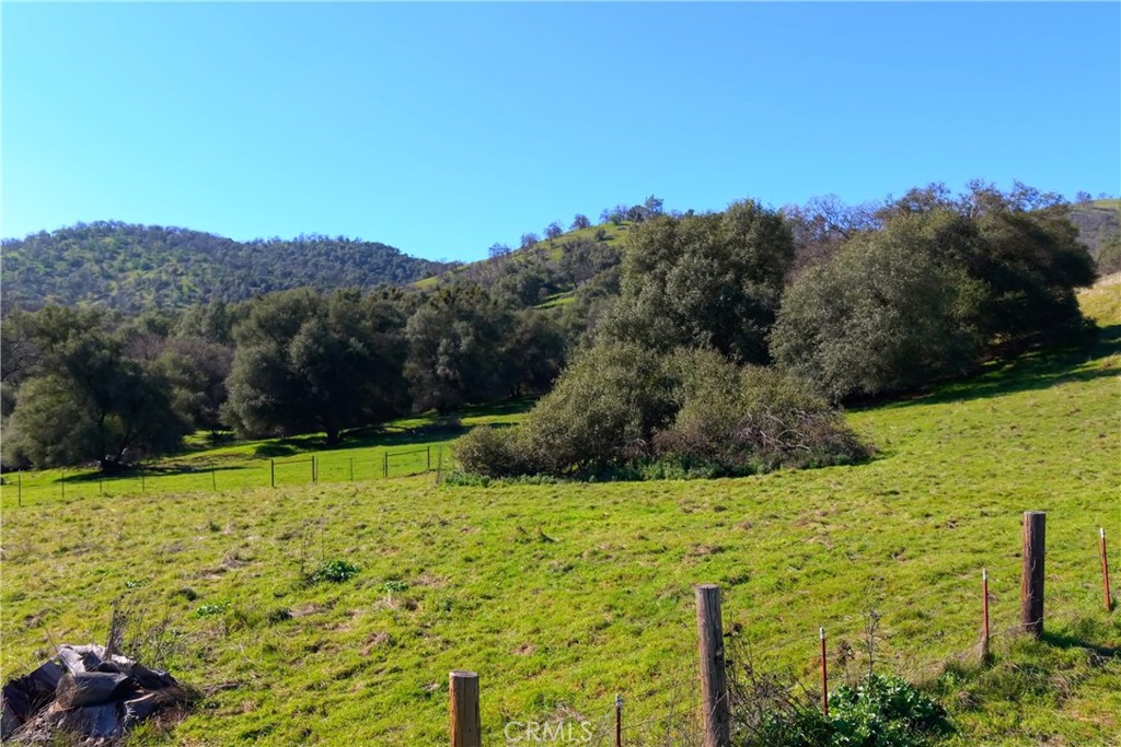 3729 Ben Hur Road Mariposa, CA 95338 - Photo 2 of 57 a view of a garden with mountain