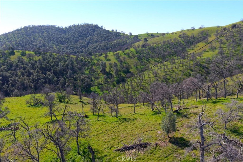 3729 Ben Hur Road Mariposa, CA 95338 - Photo 22 of 57 a view of a back yard