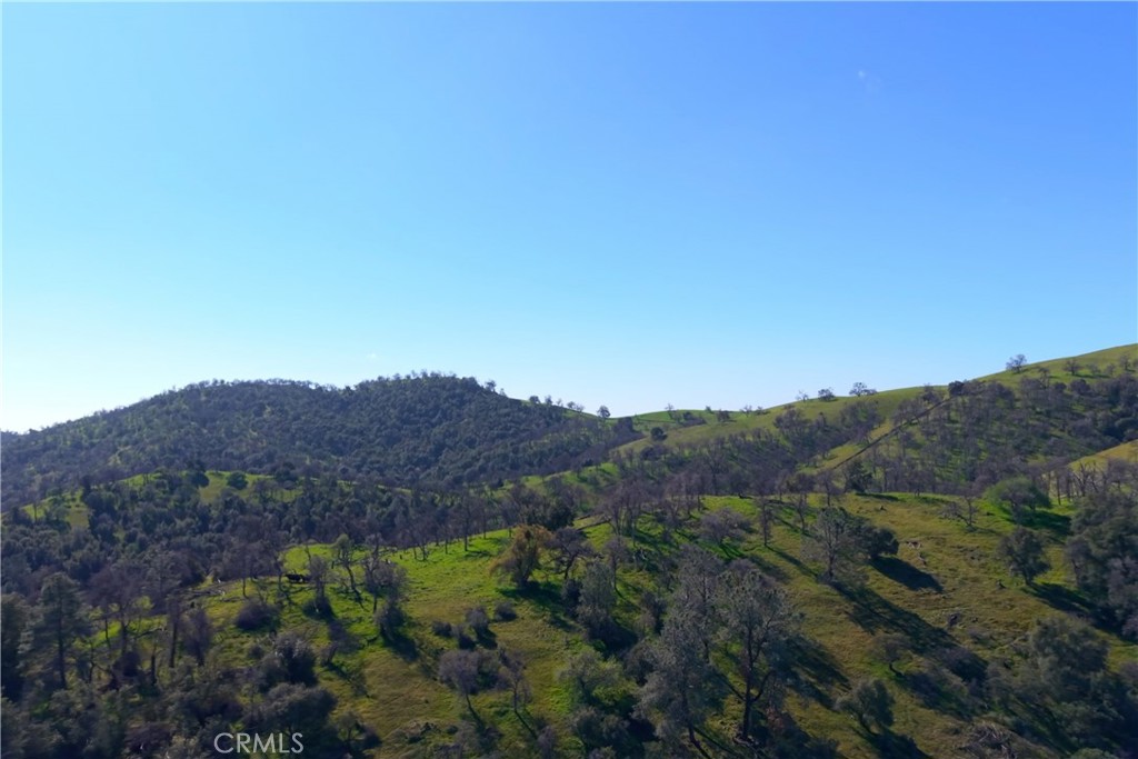 3729 Ben Hur Road Mariposa, CA 95338 - Photo 23 of 57 a view of a lush green field with mountains in the background
