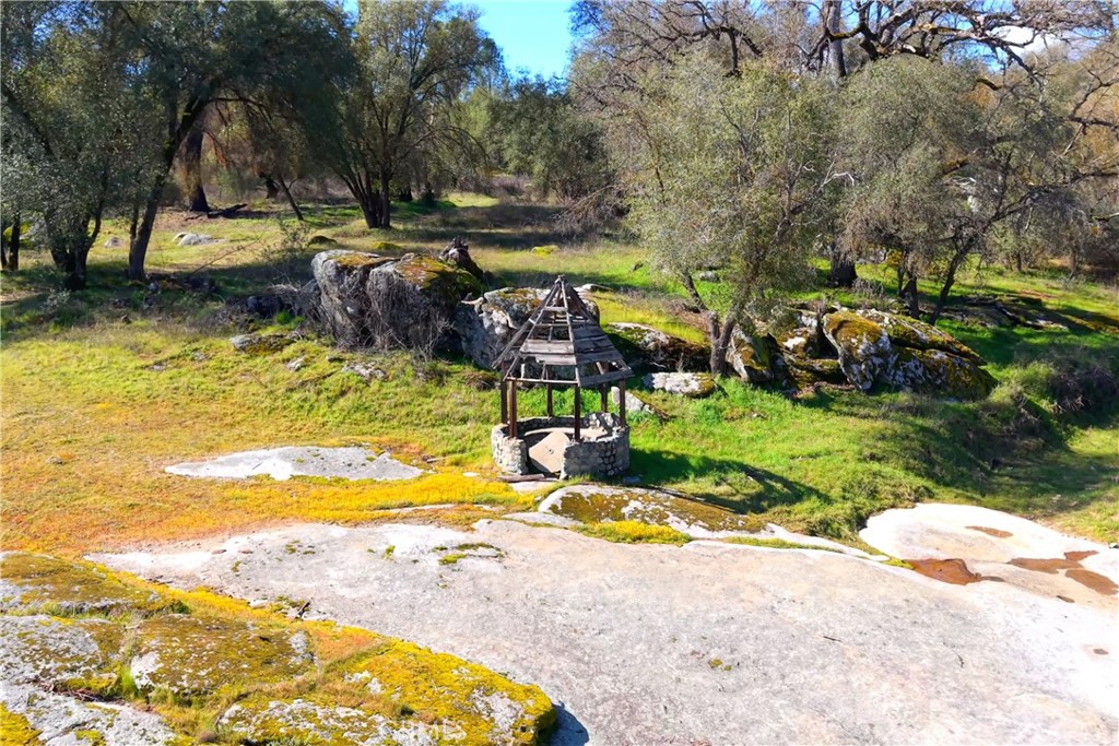 3729 Ben Hur Road Mariposa, CA 95338 - Photo 24 of 57 a view of swimming pool with lawn chairs and plants