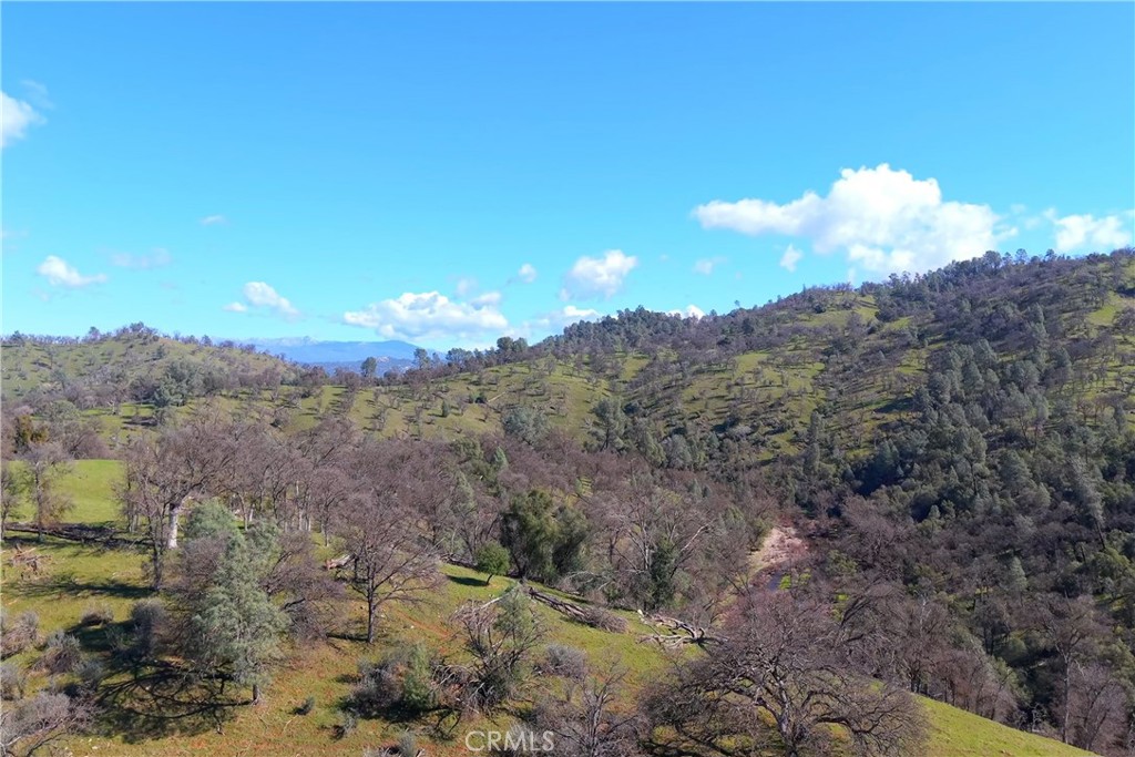 3729 Ben Hur Road Mariposa, CA 95338 - Photo 25 of 57 a view of a yard with a tree in the background