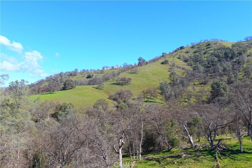 3729 Ben Hur Road Mariposa, CA 95338 - Photo 26 of 57 a view of a field with large trees