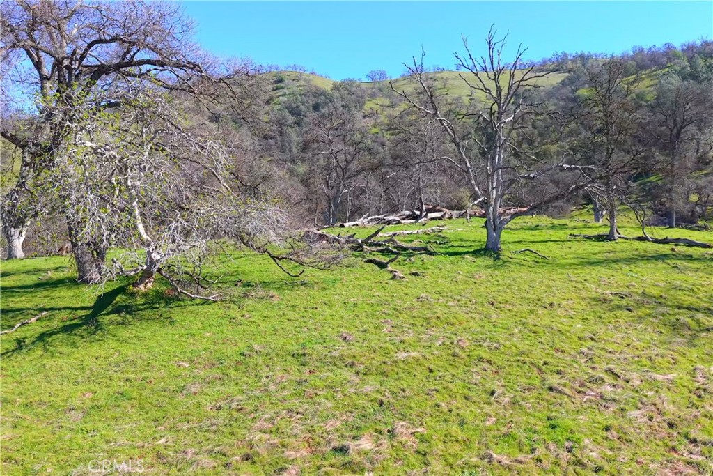 3729 Ben Hur Road Mariposa, CA 95338 - Photo 27 of 57 a backyard of a house with lots of green space