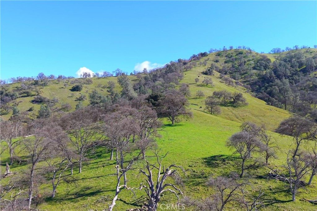 3729 Ben Hur Road Mariposa, CA 95338 - Photo 28 of 57 a view of a lake with a mountain in the background