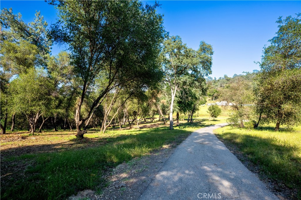 3729 Ben Hur Road Mariposa, CA 95338 - Photo 34 of 57 a view of yard with green space and trees