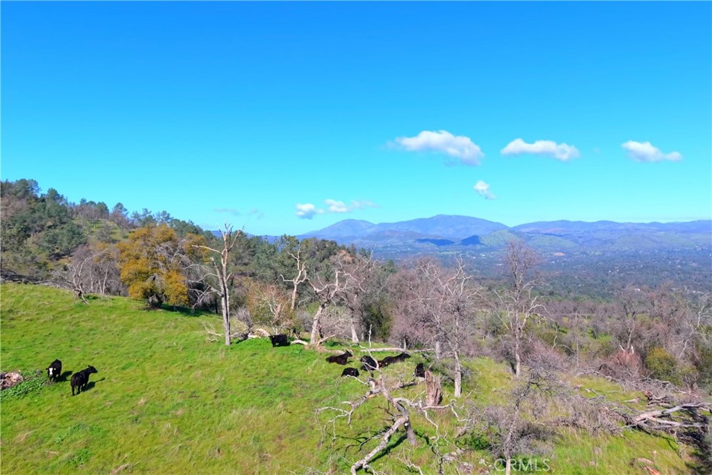 3729 Ben Hur Road Mariposa, CA 95338 - Photo 4 of 57 a view of a grassy field with an trees