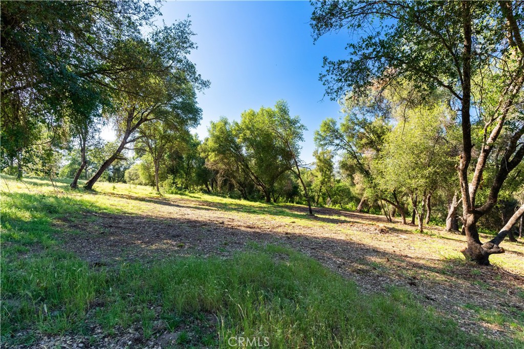 3729 Ben Hur Road Mariposa, CA 95338 - Photo 8 of 57 a view of outdoor space with trees