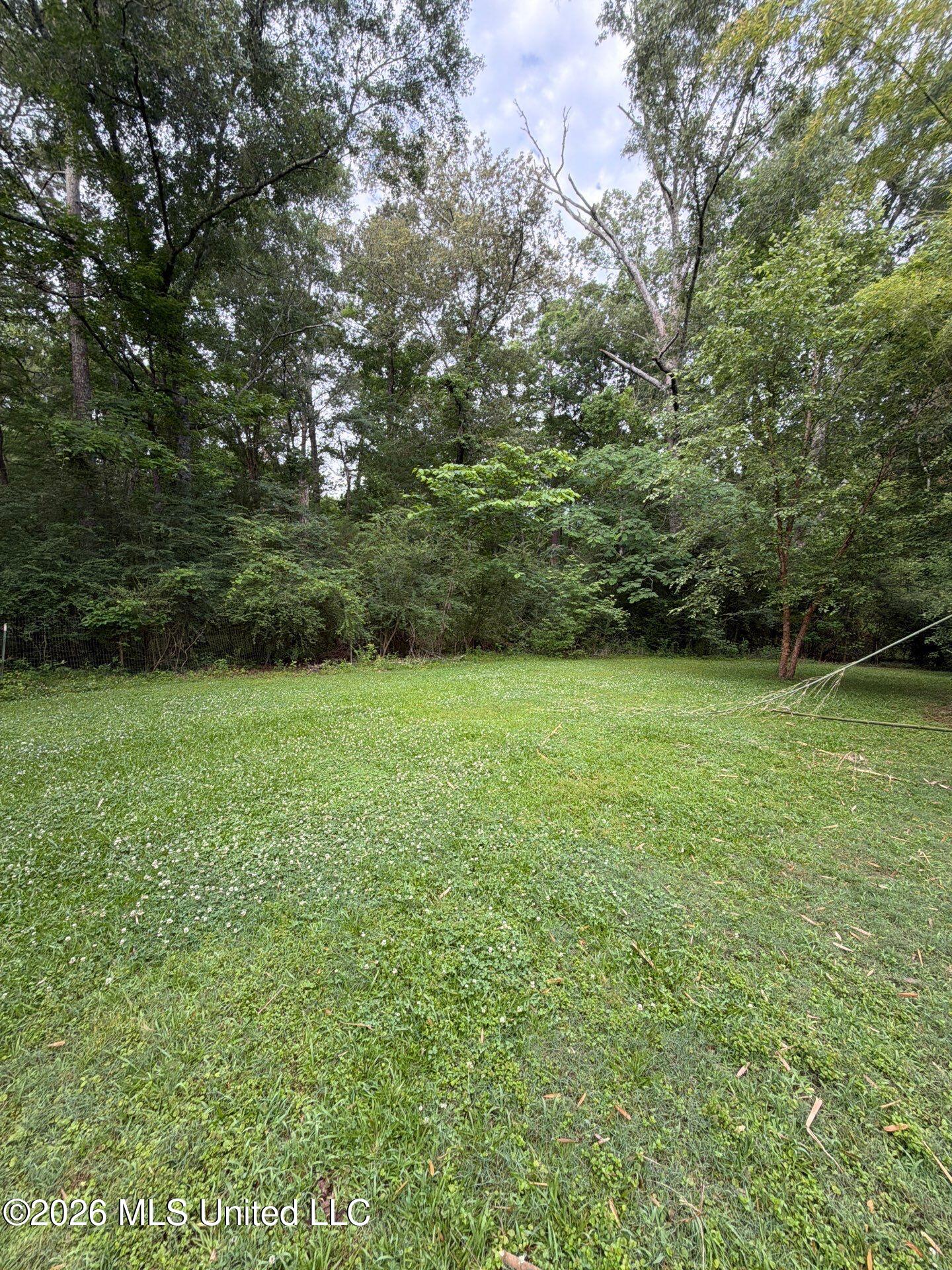 118 Canterbury Road Brandon, MS 39042 - Photo 10 of 60 15-May 19, 2026 13-06-07-4sG8
