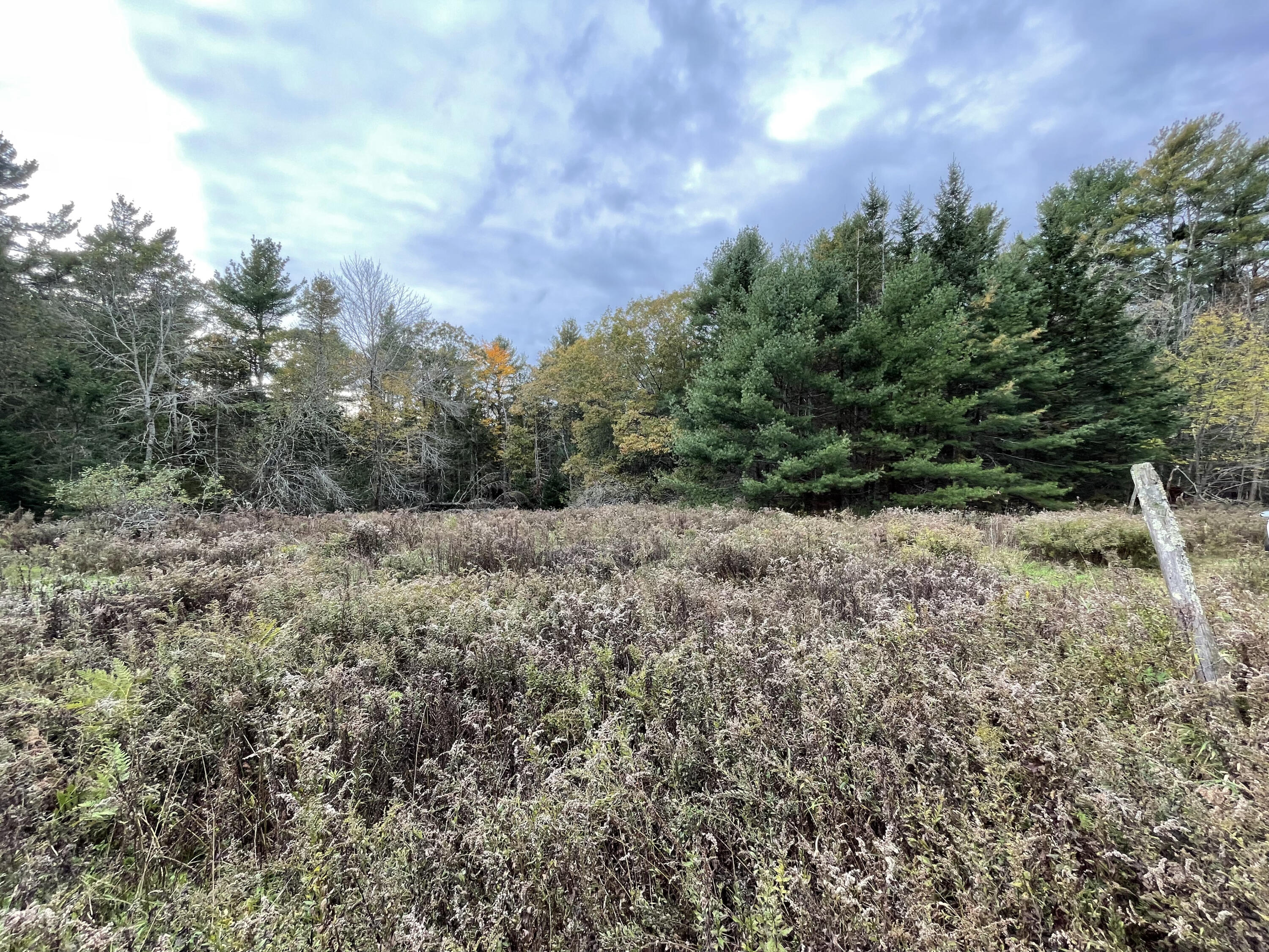 Tbd Coastal Road Brooksville, ME 04617 - Photo 1 of 5 IMG_0371